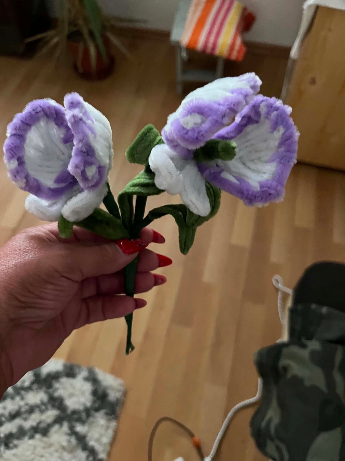 Lila-fehér zsenília lepke orchidea pár